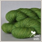 Euphorbia Piquant Lite